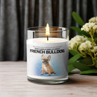 FRENCH BULLDOG - VOODEED / VOO•DEED