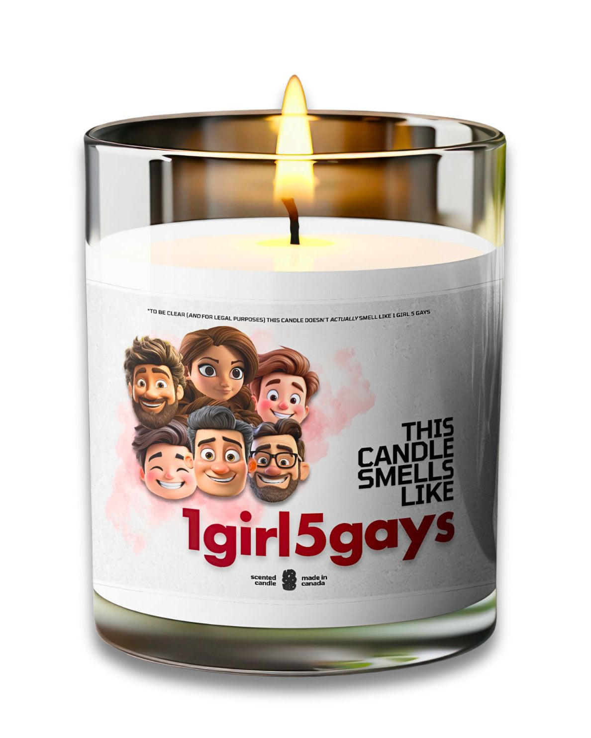 1 GIRL 5 GAYS - VOODEED / VOO•DEED