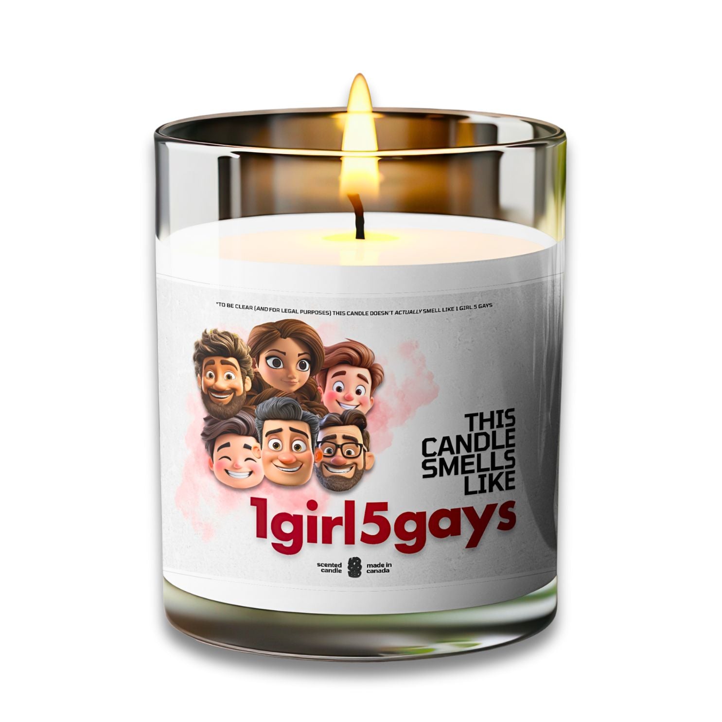 1 GIRL 5 GAYS - VOODEED / VOO•DEED
