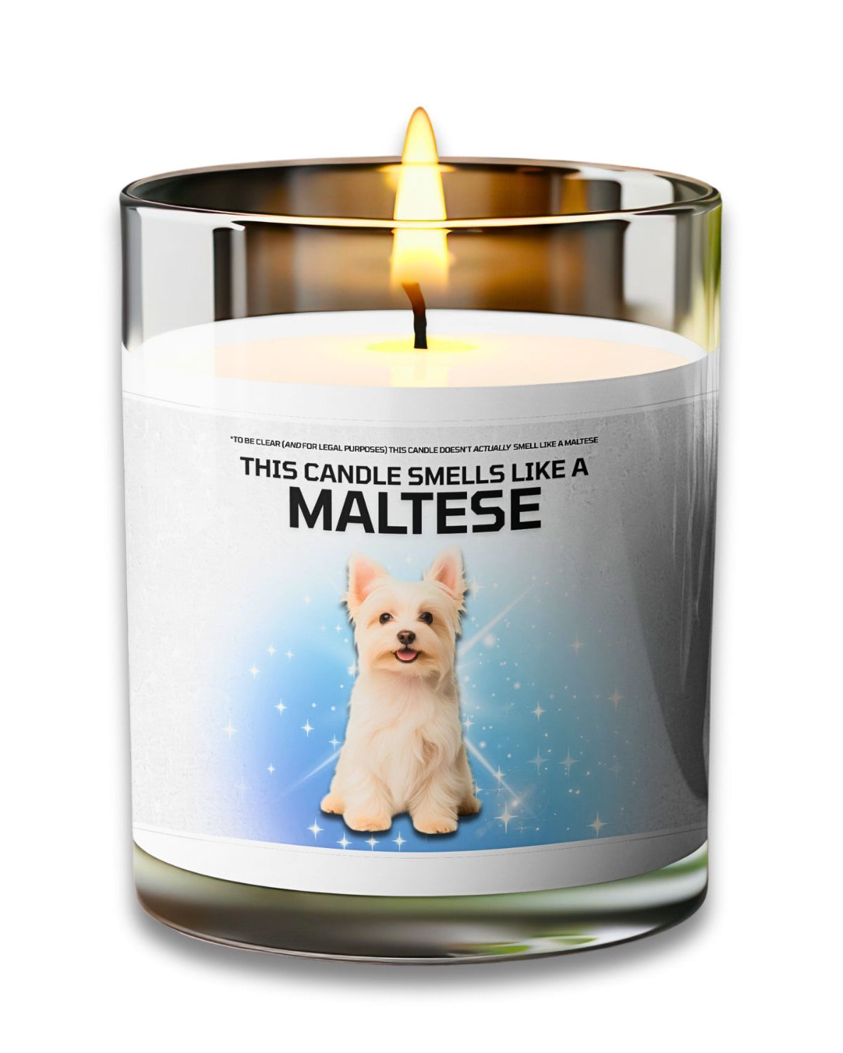 MALTESE - VOODEED / VOO•DEED