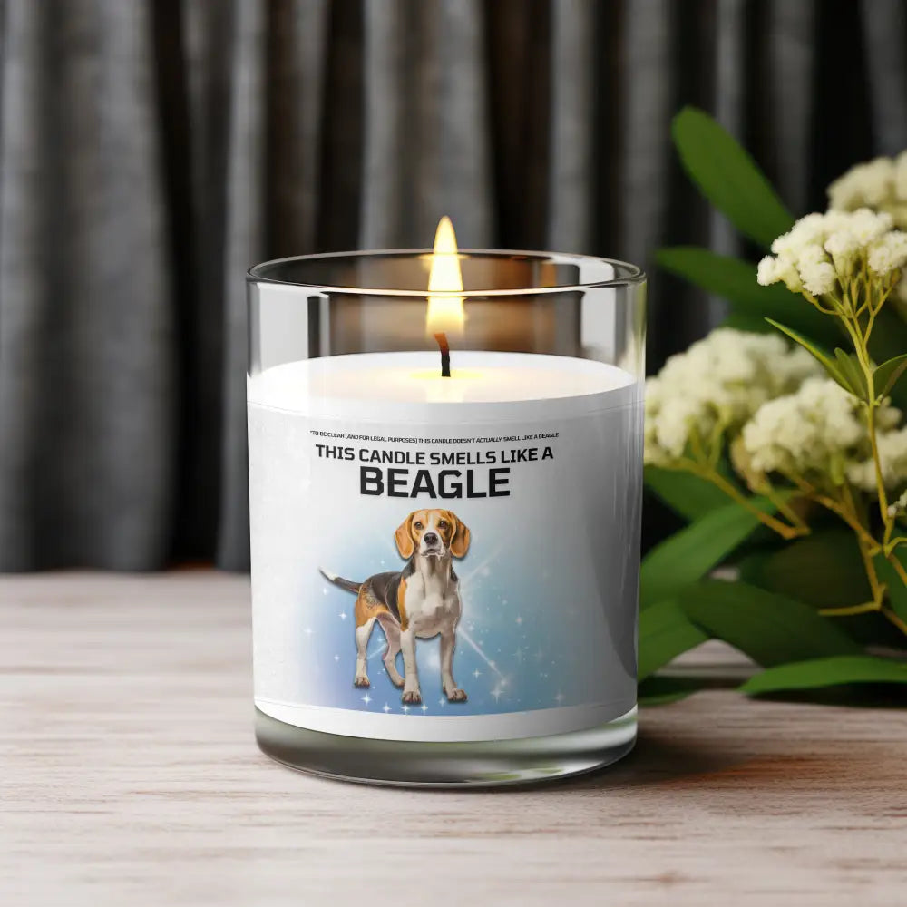 BEAGLE - VOODEED / VOO•DEED