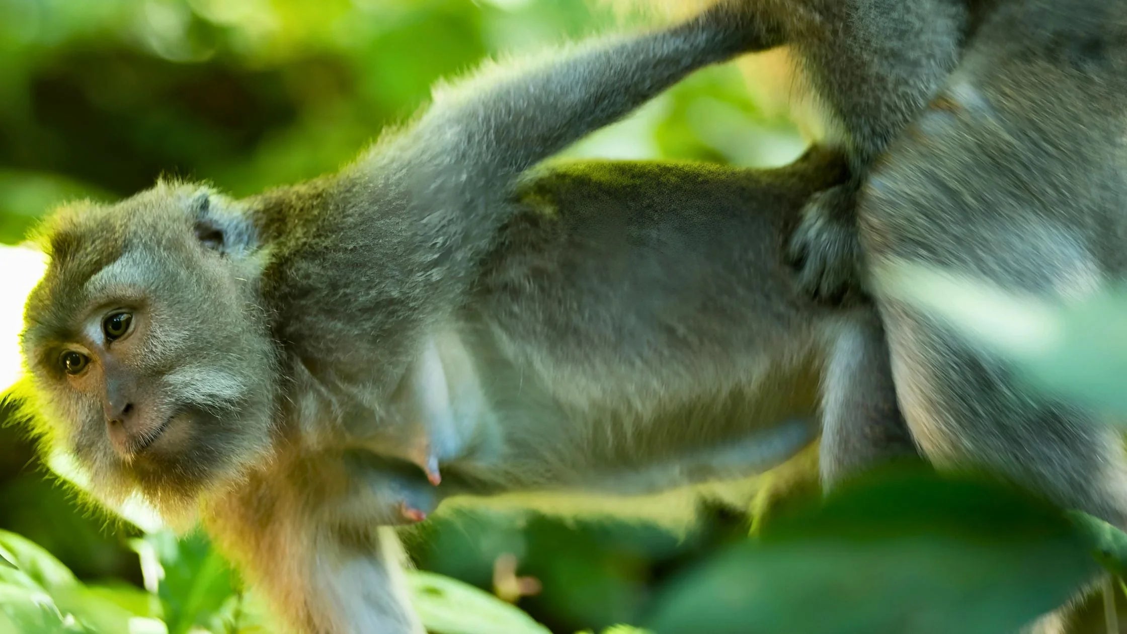 10 Cities Where Your Chances of a One-Night Stand Are High