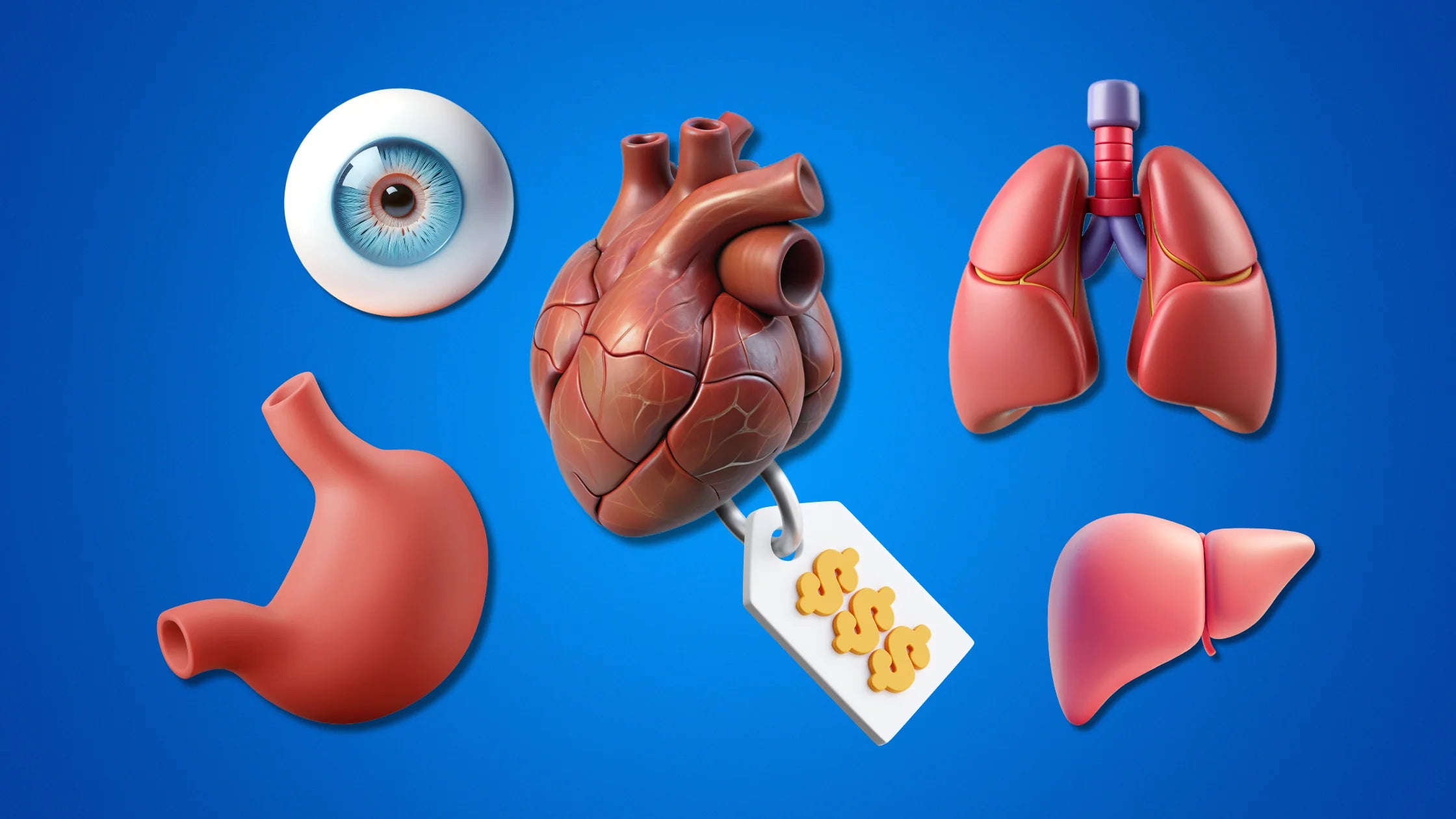 How Much Are Body Parts Worth on the Black Market?