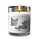 This Candle Smells Like a BRITISH SHORTHAIR - VOODEED.com / VOO•DEED