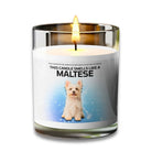 MALTESE - VOODEED / VOO•DEED